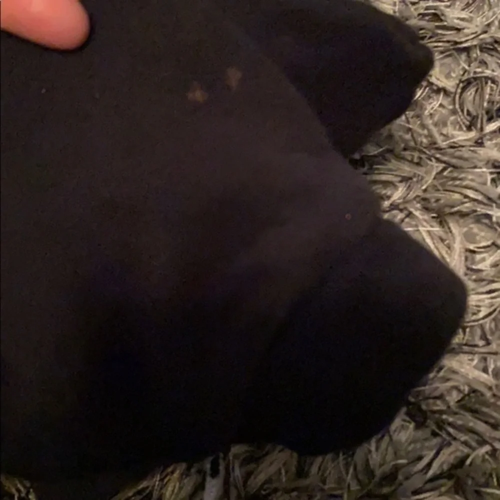 Boys Primark sweatpants 18-24 months gently used.